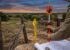 Buying Rural Acreage in Texas: Metes and Bounds, Surveys, and Titles